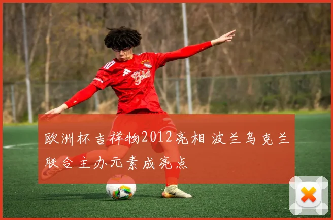欧洲杯吉祥物2012亮相 波兰乌克兰联合主办元素成亮点
