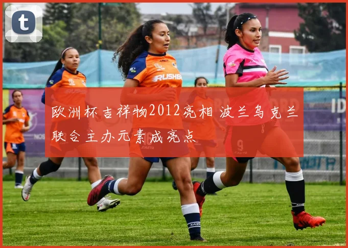 欧洲杯吉祥物2012亮相 波兰乌克兰联合主办元素成亮点